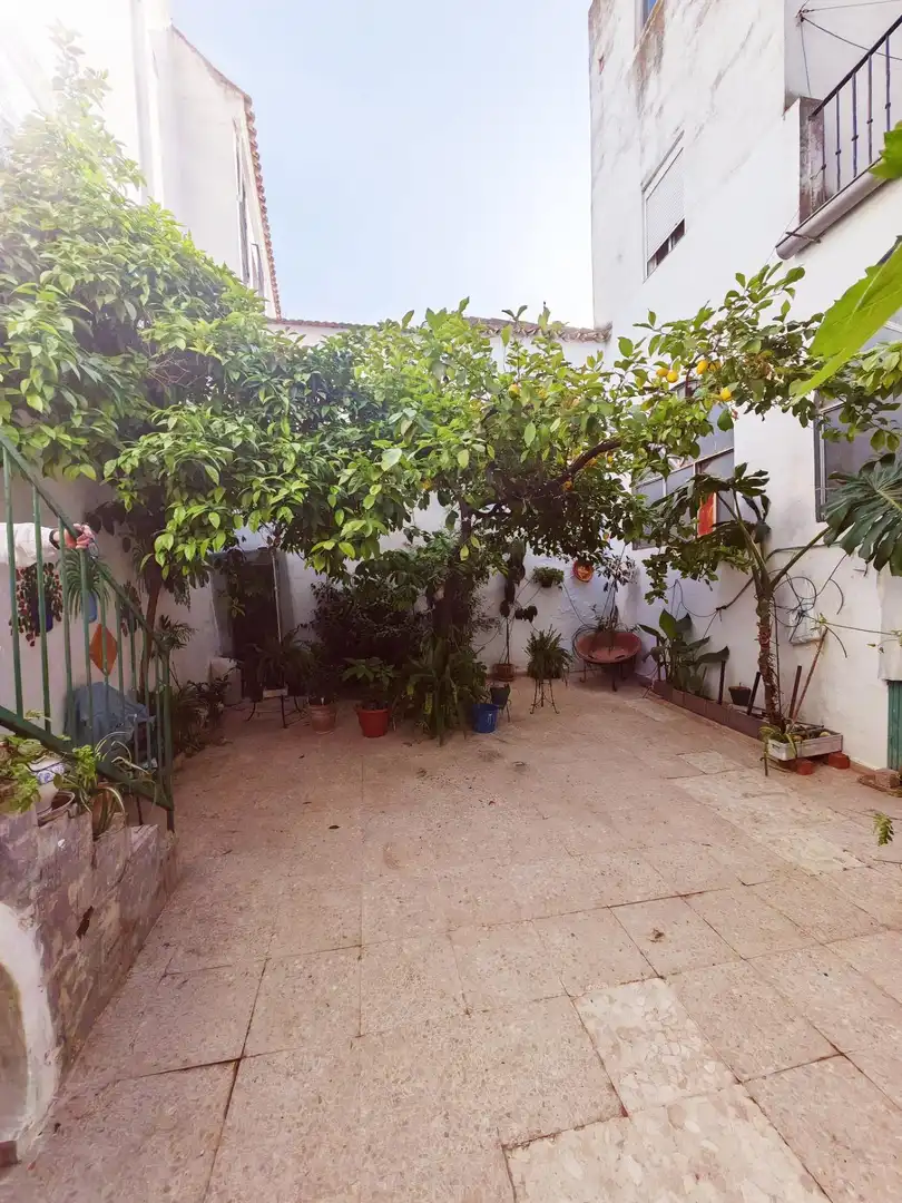 Jardín de Casa o chalet en venta en Écija con Terraza y Balcón