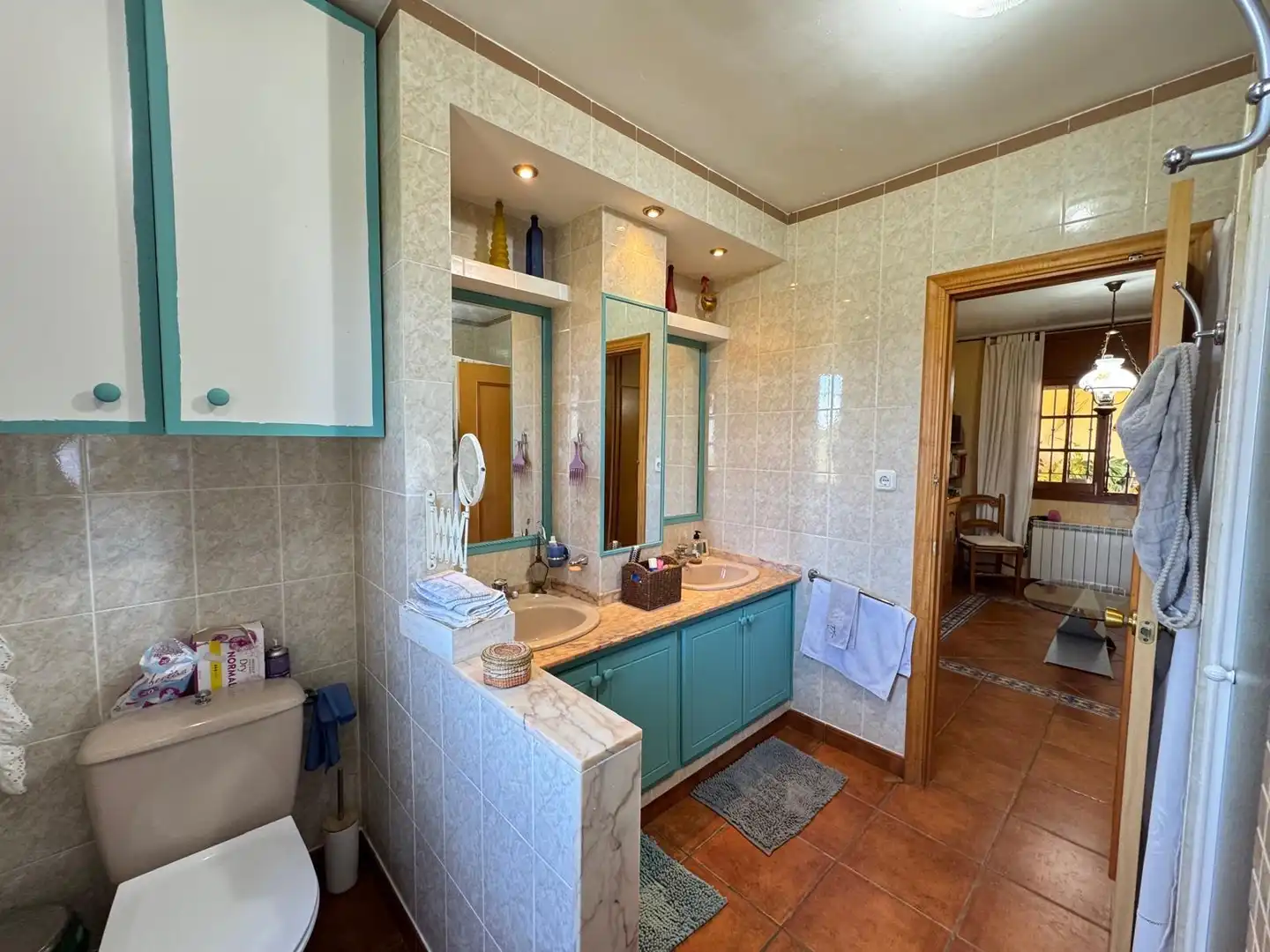 Baño de Casa o chalet en venta en Ardales con Jardín privado y Terraza