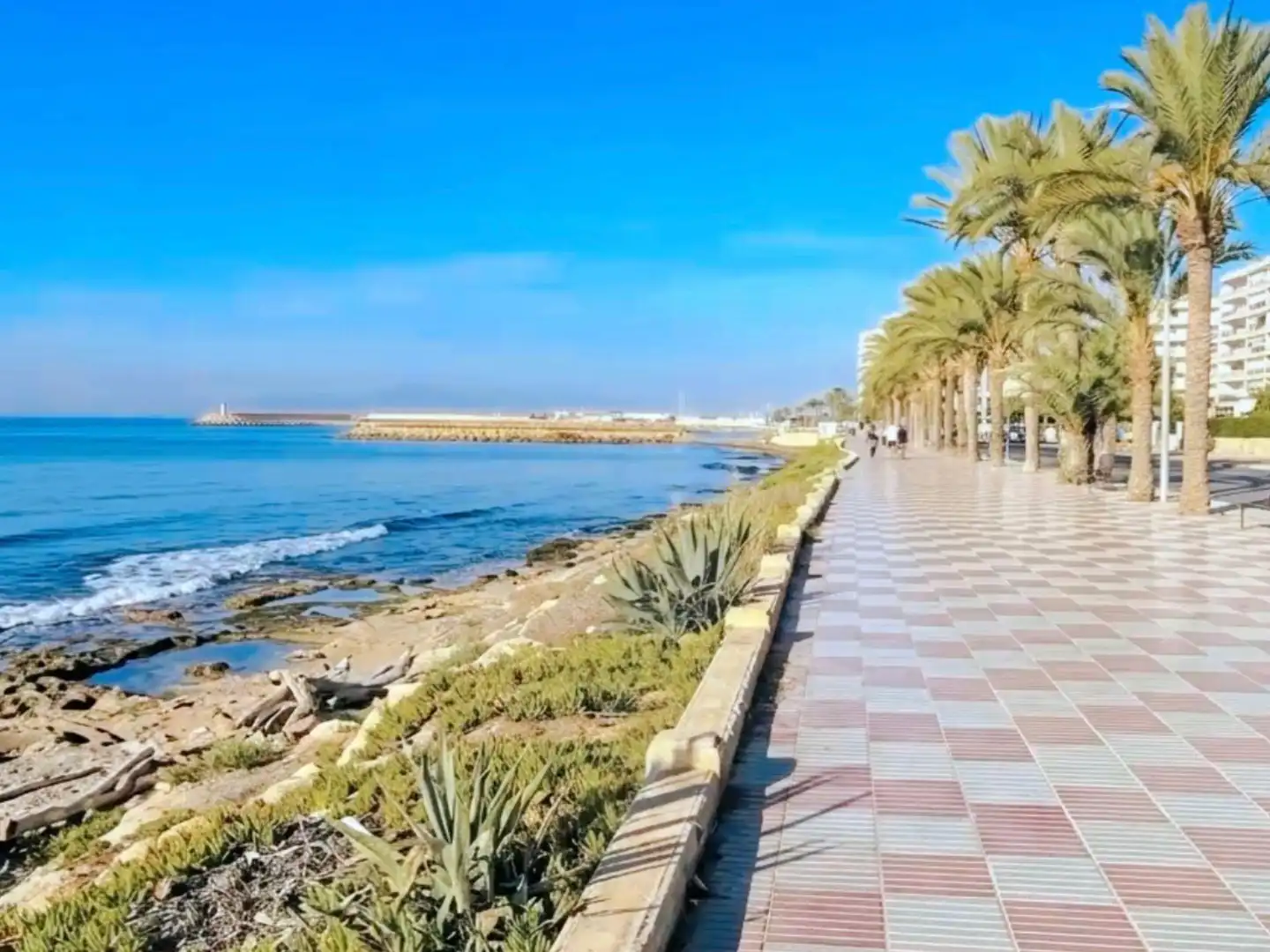 Exterior view of Detached homes for sale in Santa Pola  with Terrace