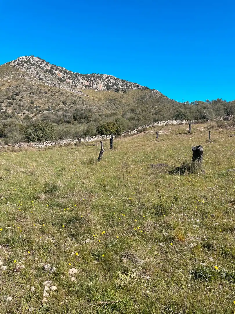 Rural land for sale in Sant Llorenç des Cardassar, imagen 14