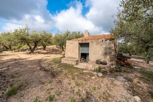 Terreno en Venta en N/A, -1 en Mas de Barberans