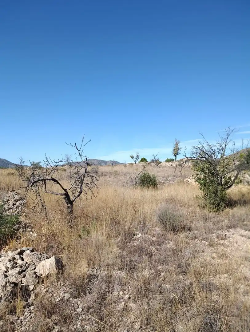 Terreno rustico in vendita a Hondón de las Nieves / El Fondó de les Neus, imagen 21