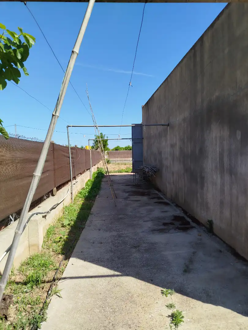 Terreno rústico en venta en Camí del Rajolar, imagen 13