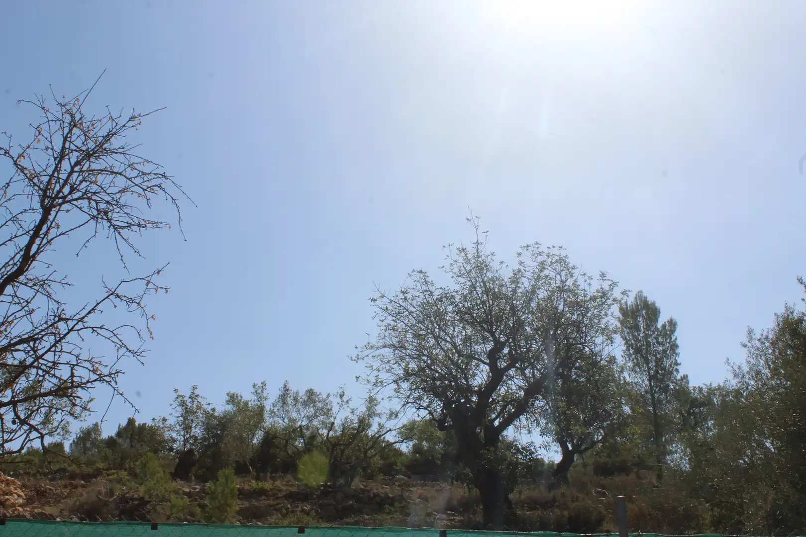 Rural land for sale in Carretera Benissa 32, imagen 11