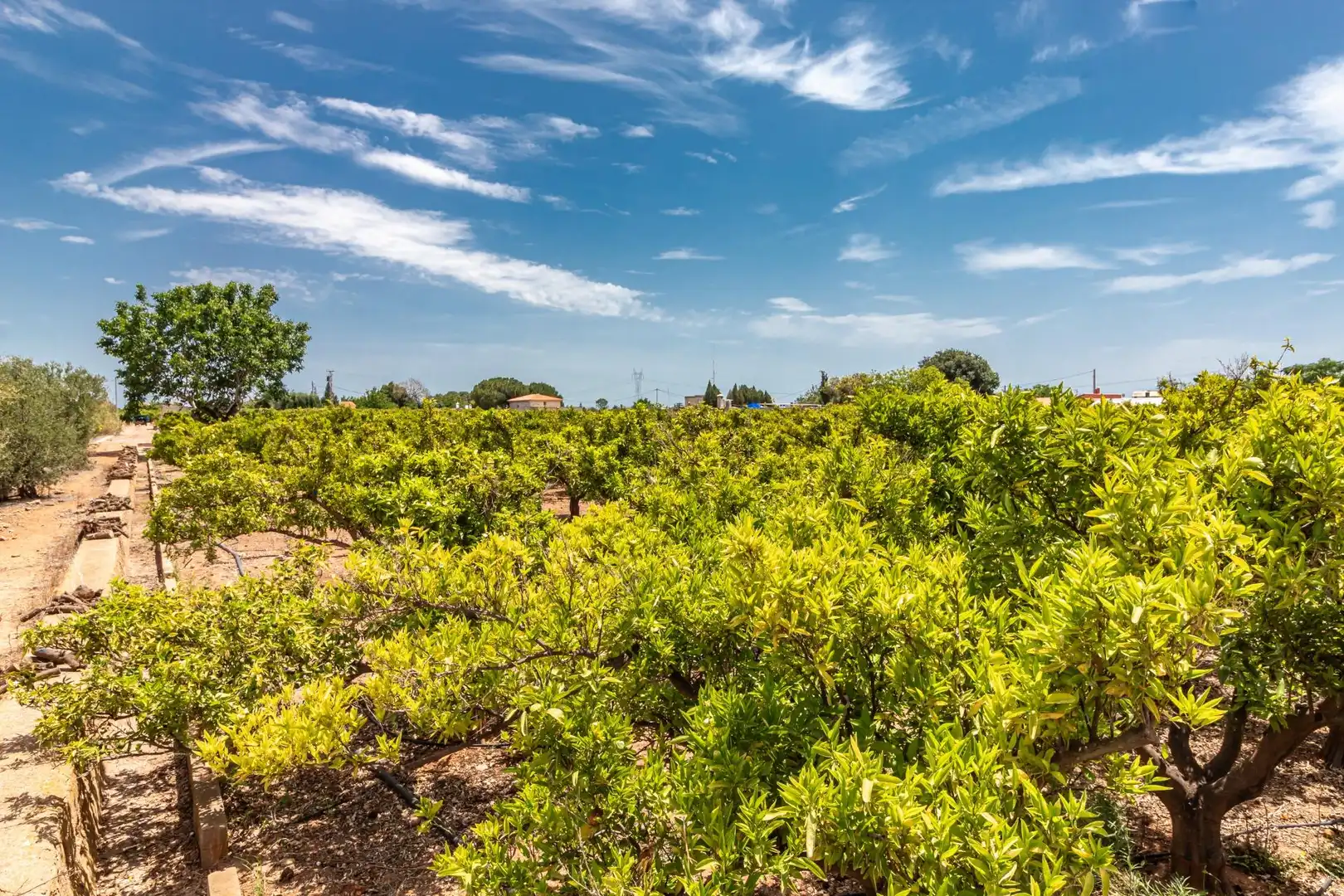 Rural land for sale in Polígono Polígono 4 Paraje 109 MADRIGAL 917, imagen 5