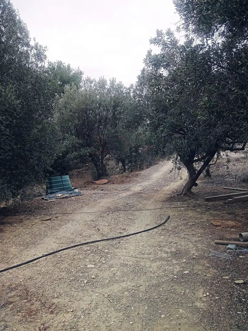 Land for sale in Olesa de Montserrat