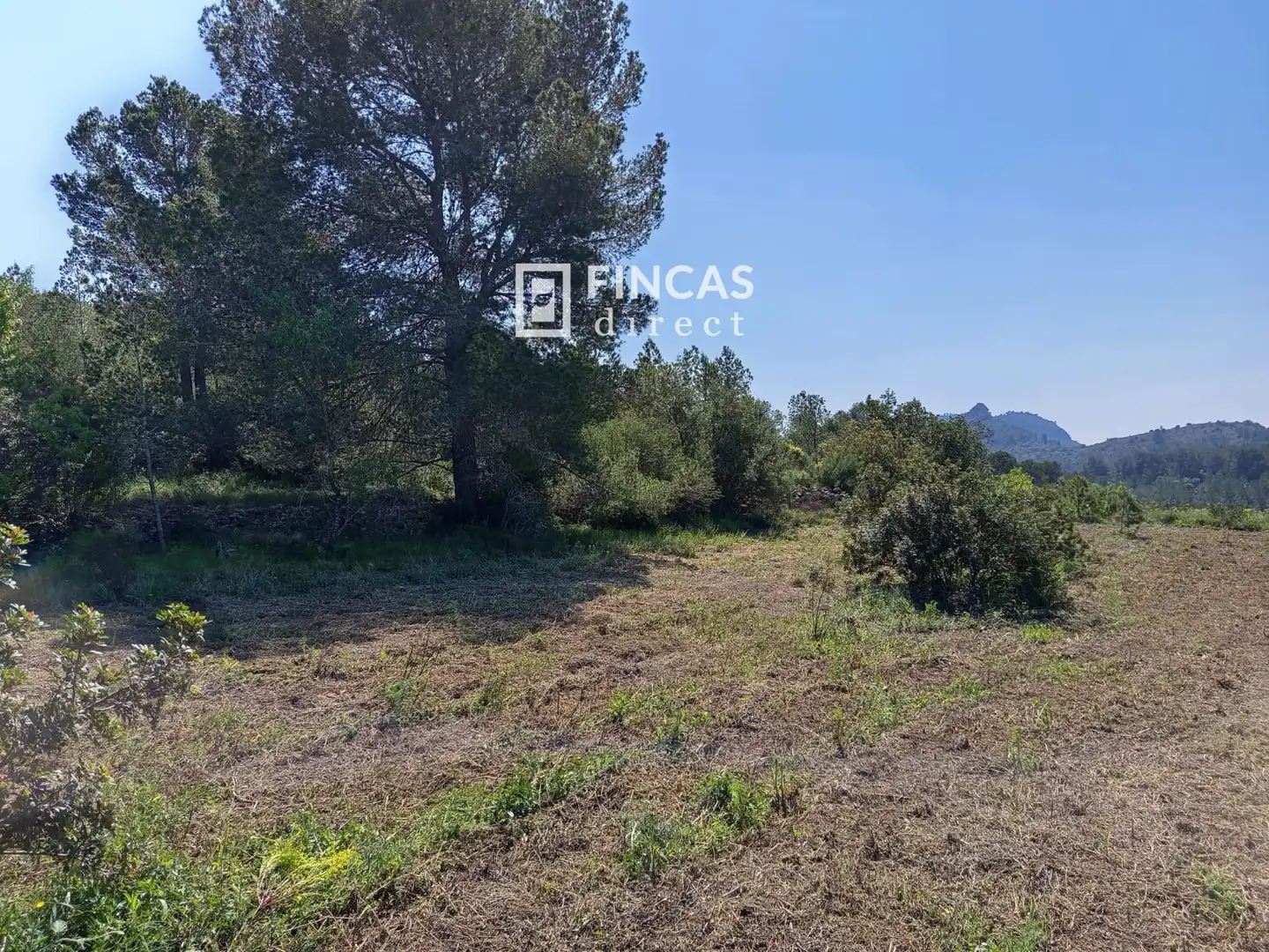 Terrain rustique à vendre à WFXW+MPJ, imagen 15