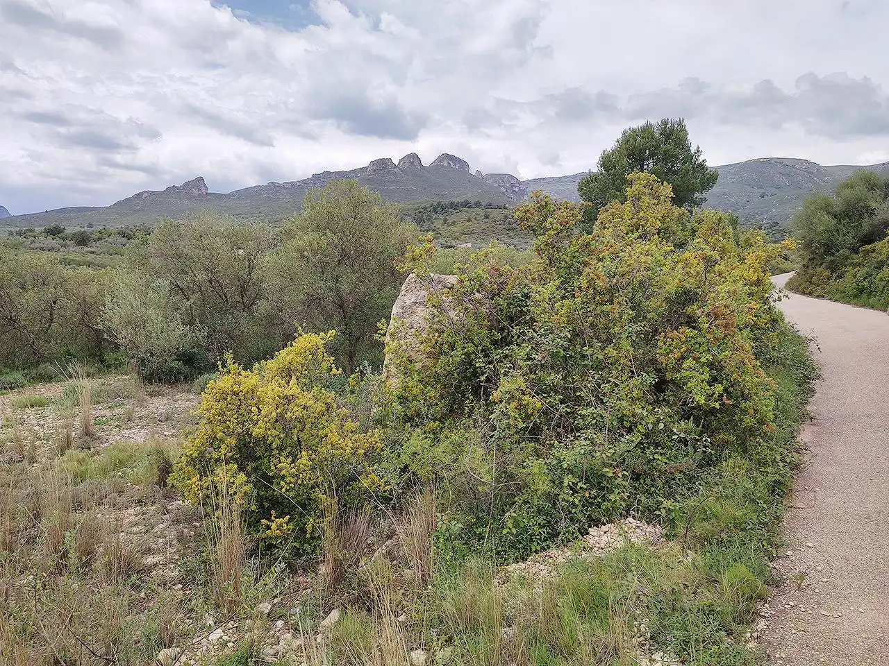 Finca rústica en venta en La Sénia con Terraza