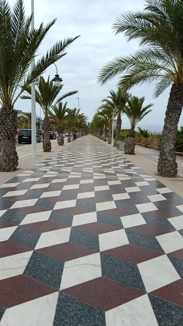 Appartement compact avec terrasse à louer à Los Arenales del Sol, imagen 30