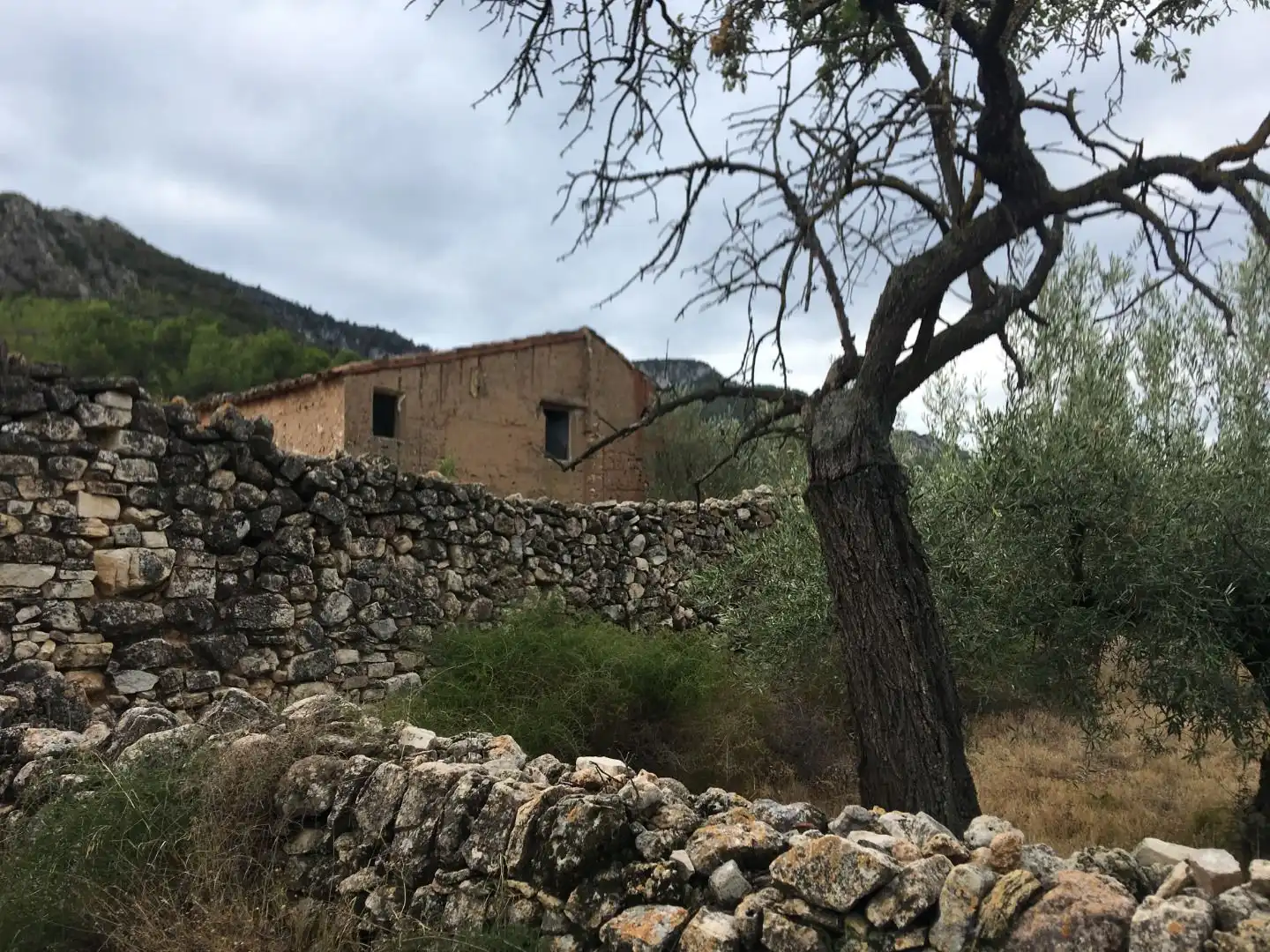 Vista exterior de Finca rústica en venda en Benifallet