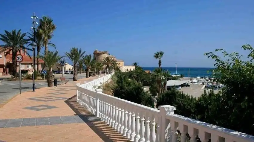 Vista exterior de Casa o chalet en venta en Pilar de la Horadada con Jardín privado, Terraza y Piscina