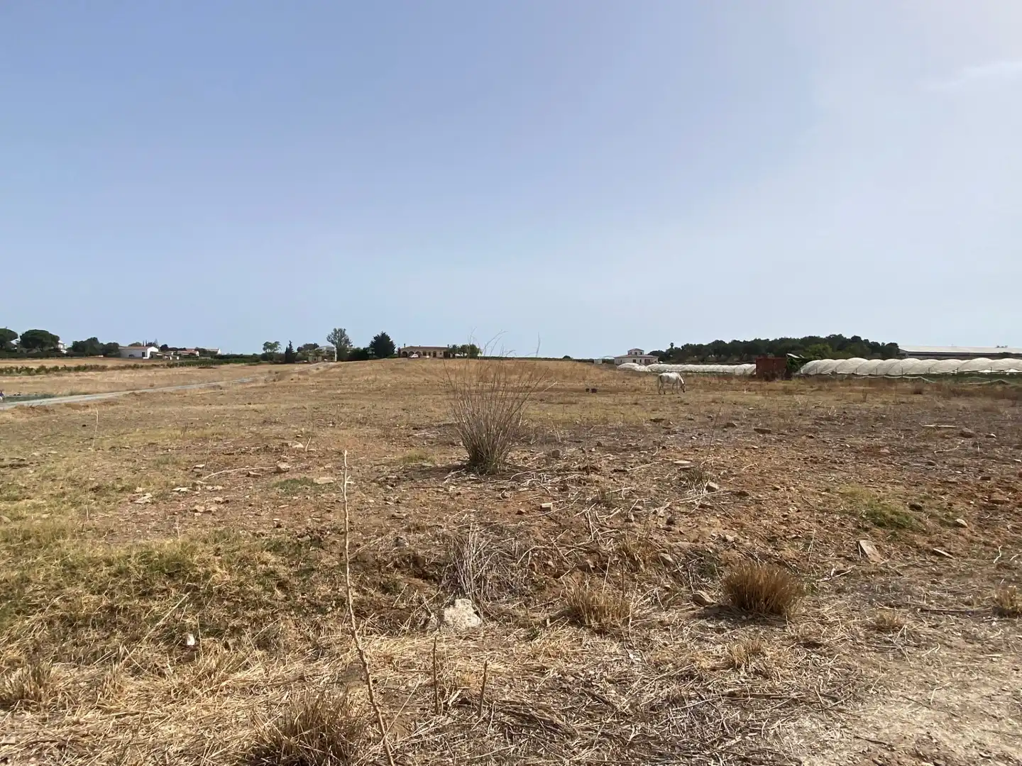 Finca rústica en venta en Aljaraque