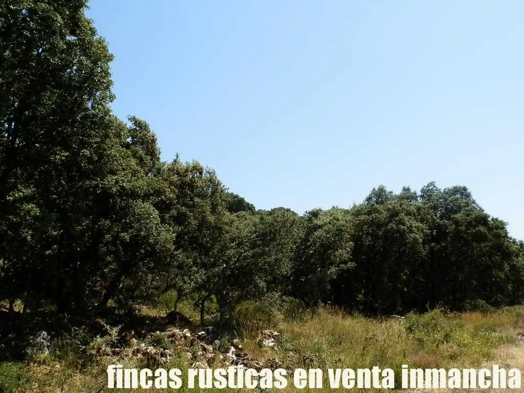 Rustikales Grundstück zum Verkauf in Alcocer, imagen 10