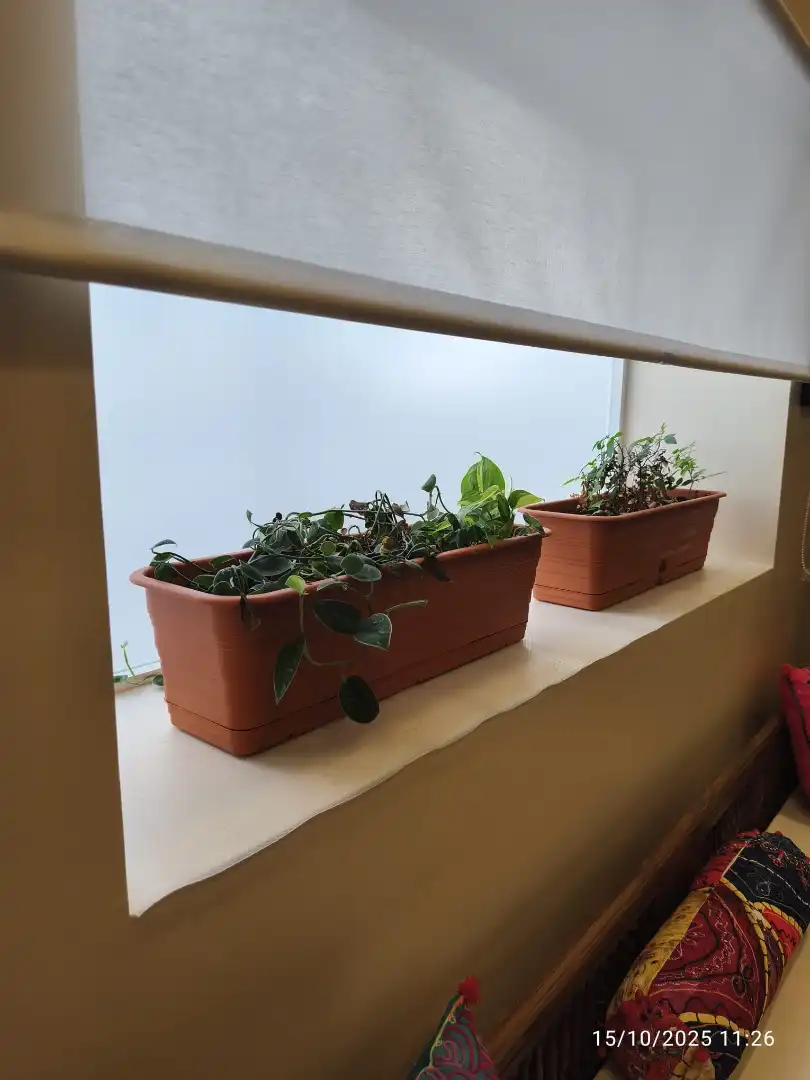 Garten von Geschaftsraum zum Verkauf in Bormujos mit Klimaanlage, Parkett und Möbliert