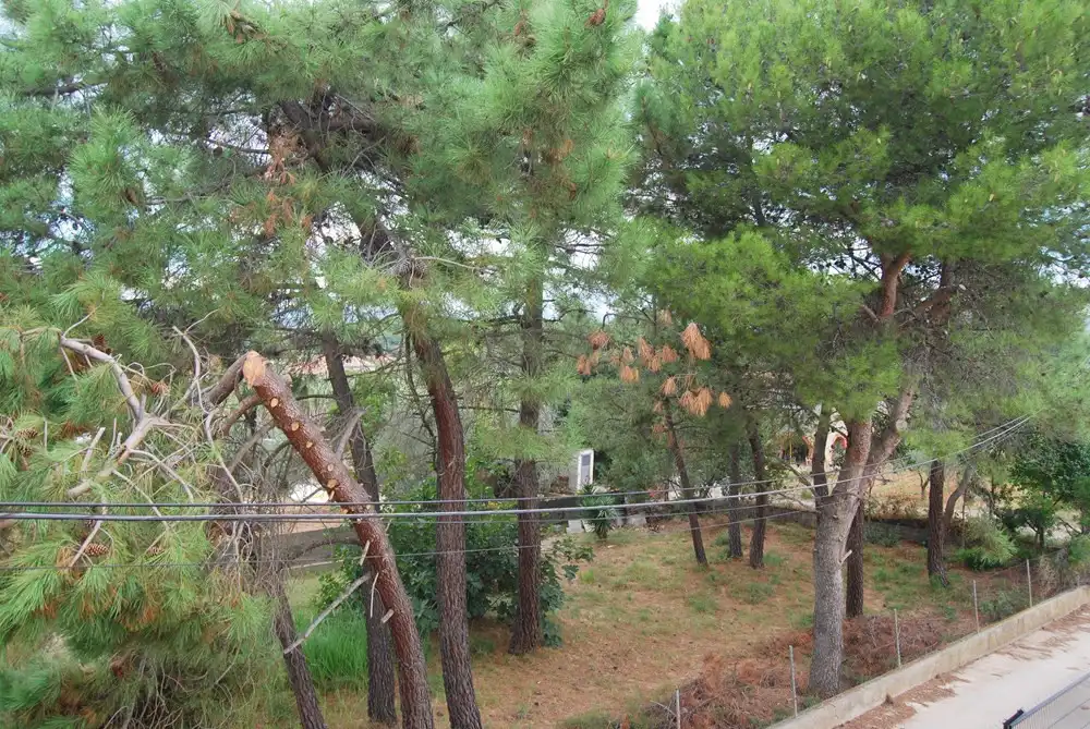 Villa mit Pool zum Verkauf in La Pobla de Tornesa, imagen 69