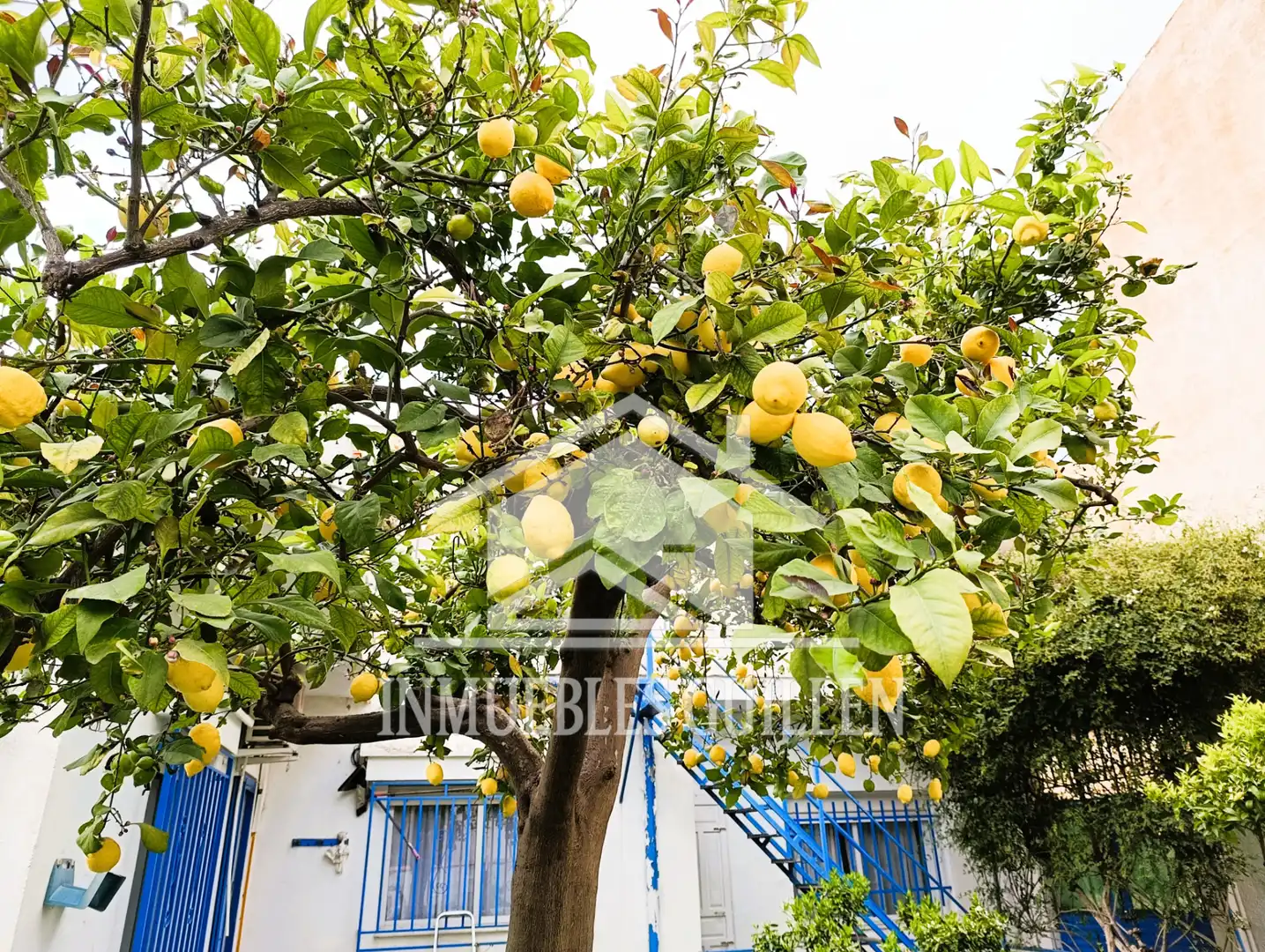 House with garden for sale in Berja, imagen 19