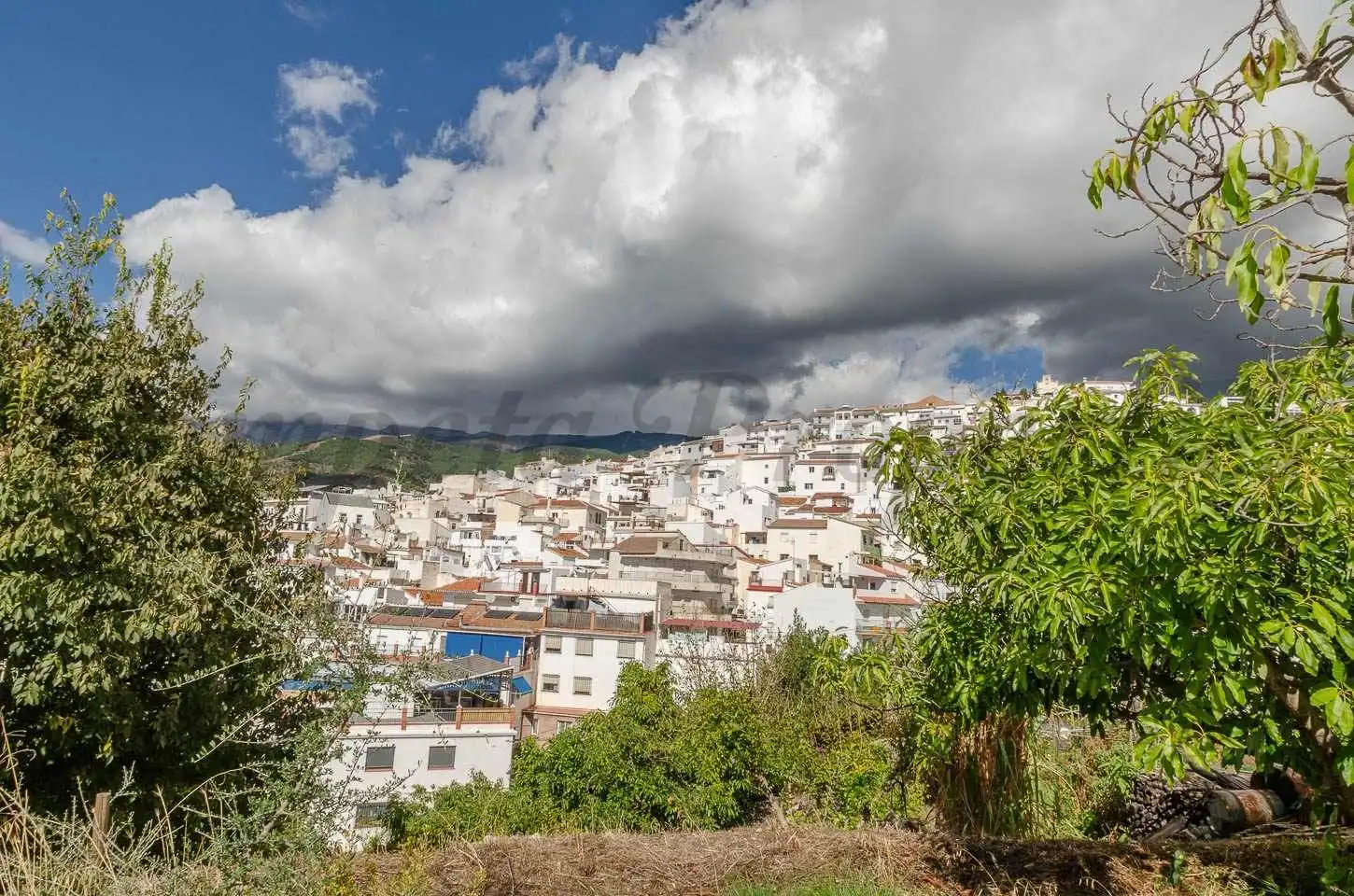Terreny residencial en venda a Canillas de Albaida, imagen 6