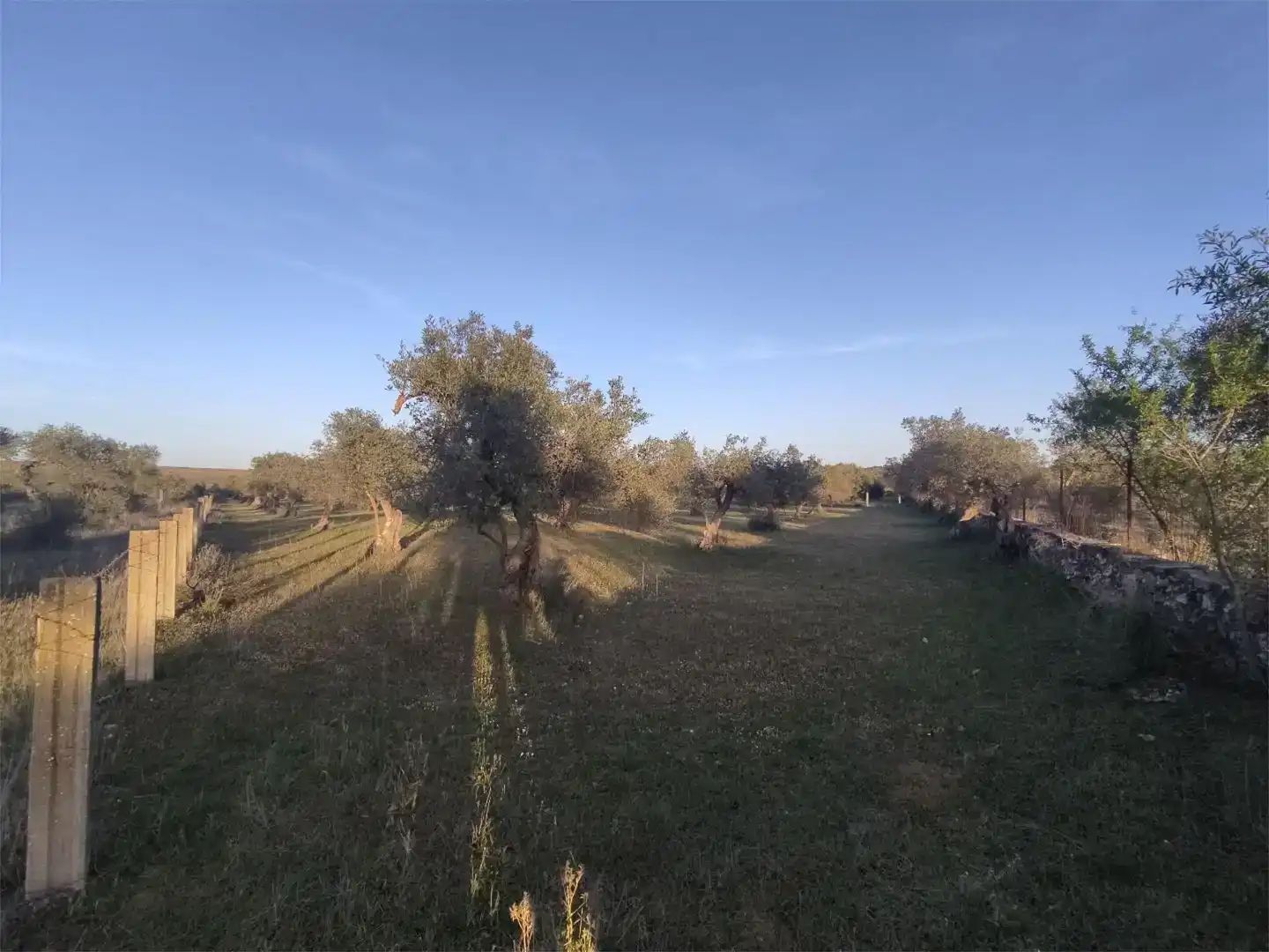 Terreno en venta en Alconera