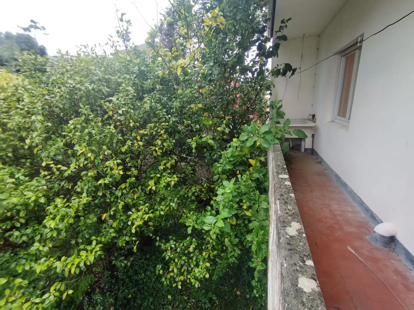 Terraza de Casa o chalet en venta en Fene con Calefacción, Jardín privado y Terraza
