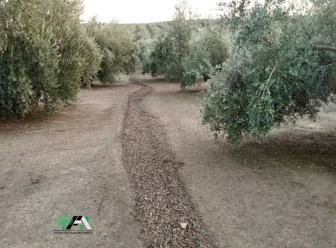 Terreni e lotti in vendita a Travesia de Linares, imagen 3