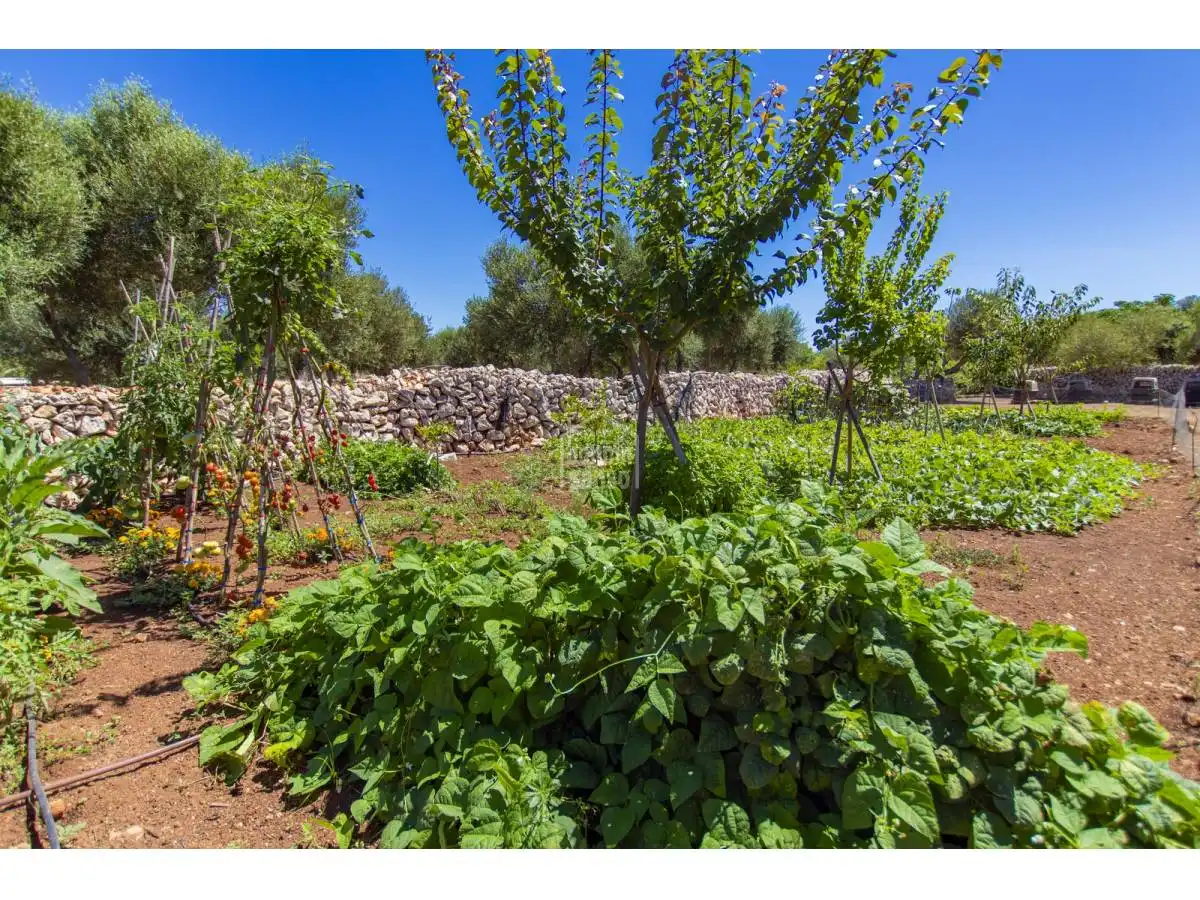 Detached house with pool for sale in Sant Lluís - S'Ullestrar - Torret, imagen 64