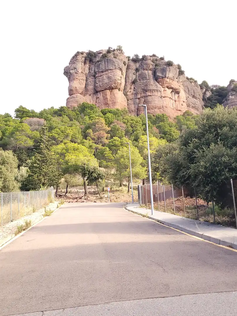 Residential land for sale in Carrer Camí del Moliner 55, imagen 14