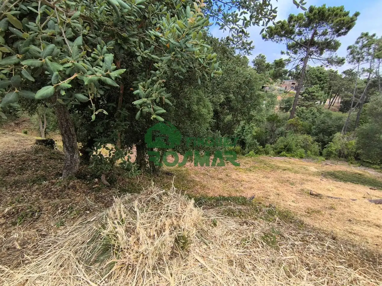 Terrenos y solares en venta en Lloret Blau - La Creu de Lloret, imagen 5