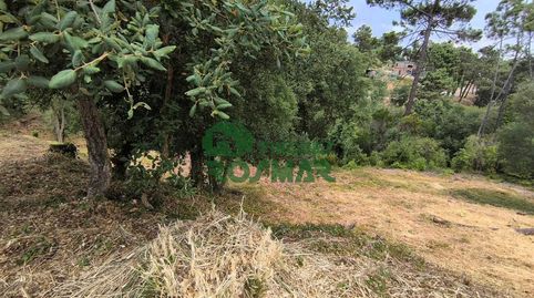 LOTE DE 10 PARCELAS EN LLORET BLAU, OPORTUNIDAD DE INVERSIÓN, imatge 5