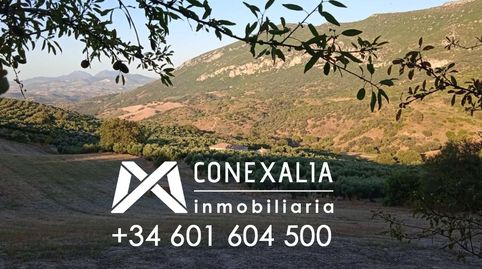 Finca en venta en Algodonales, 3 dormitorios.