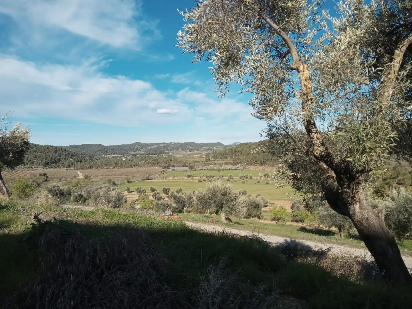 Terreni e lotti in vendita a Lledó, imagen 6