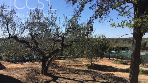 Photo 4 of Country homes for sale in Aznalcázar, Sevilla