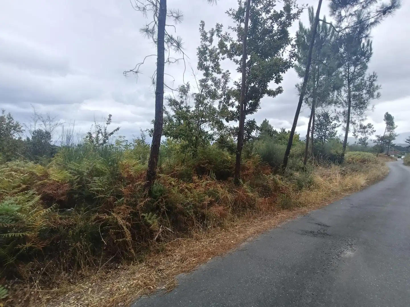 Terreny residencial en venda a Lugar Os Petraños, imagen 5