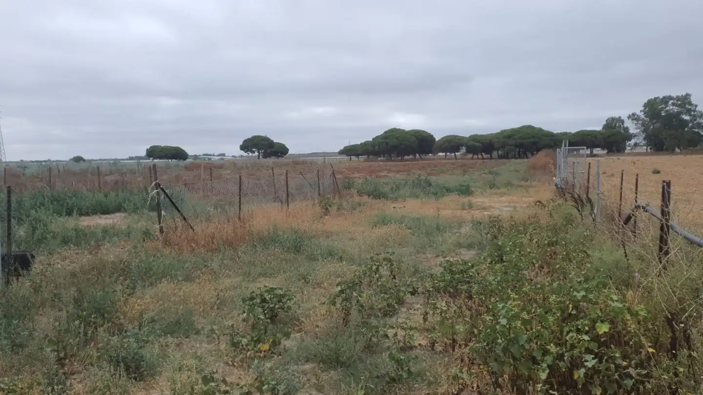 Terreni e lotti in vendita a Las Manchuelas, imagen 5