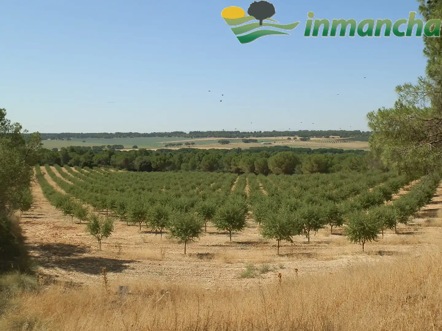 Rural land for sale in La Roda, imagen 12