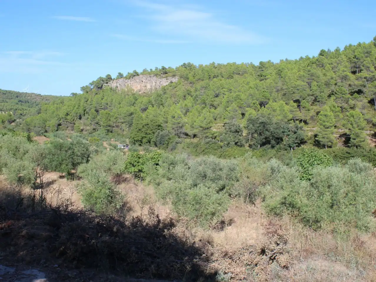 Country homes for sale in Enguera