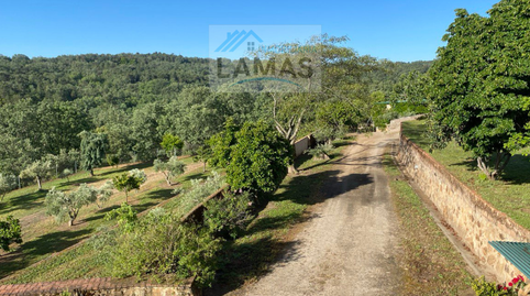 Foto 5 de Finca rústica en venta en Valverde de la Vera, Cáceres