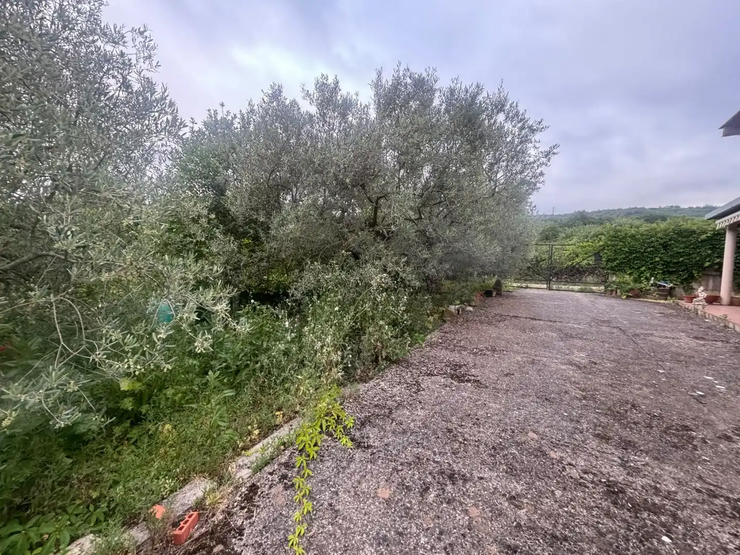 Houses for sale in sorzano, Sojuela