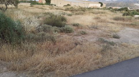 PARCELA EN HUITAR MAYOR, OLULA DEL RÍO, ALMERÍA., imatge 3
