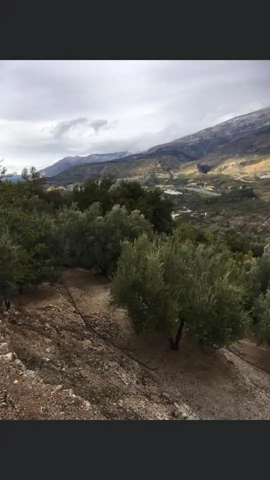Vista exterior de Finca rústica en venda en El Pinar