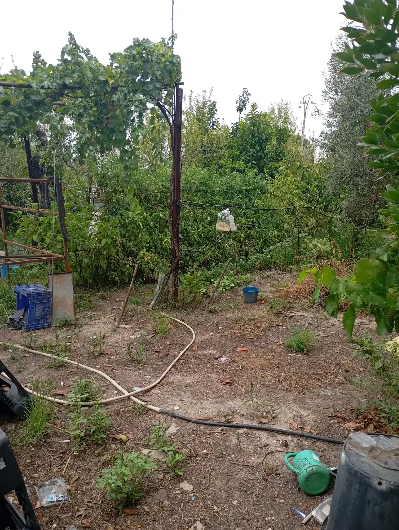 Terreno rústico en venta en Las Virtudes, imagen 7