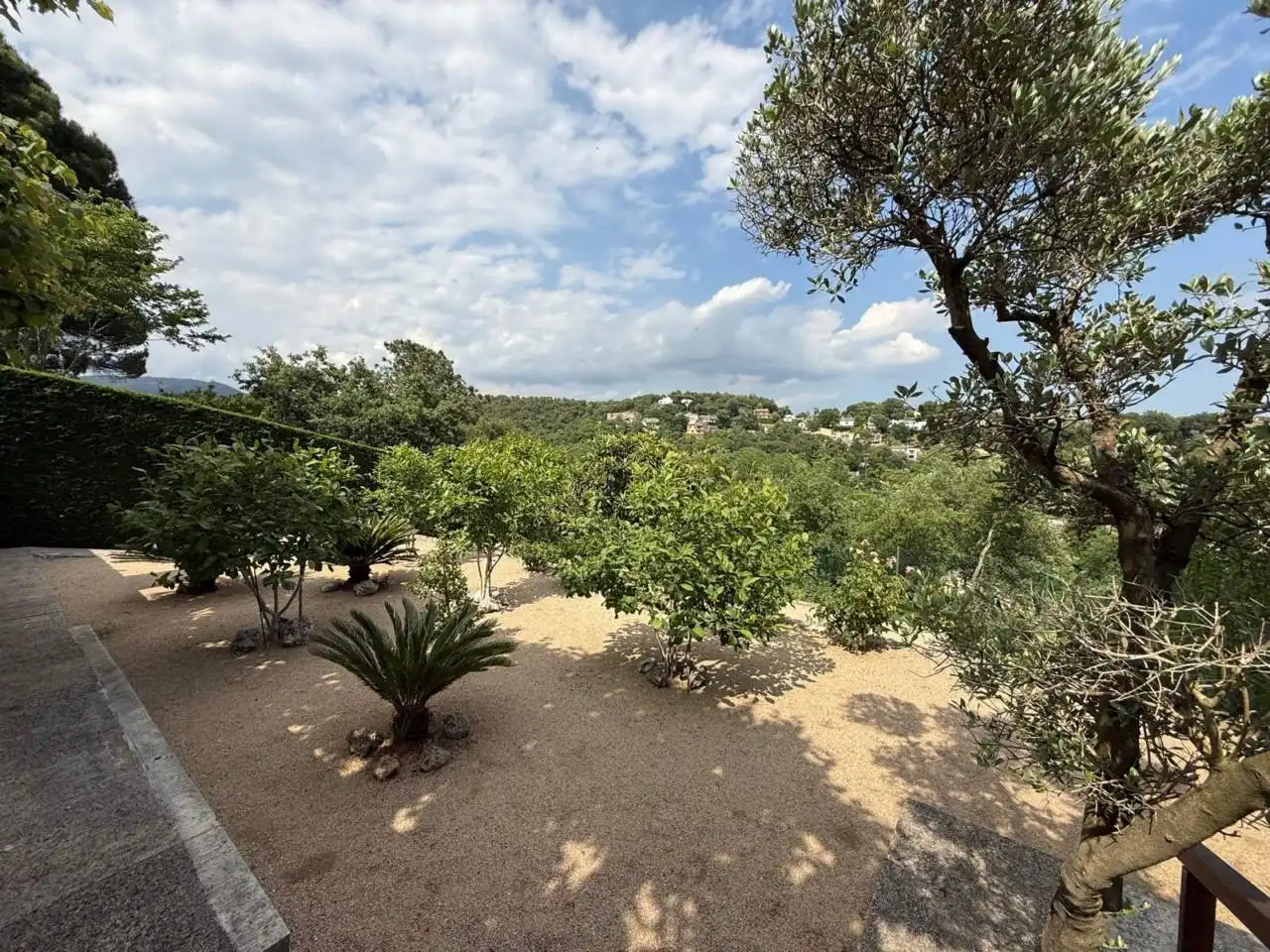 Casa con jardín en venta en Calle Miguel Ángel, imagen 4