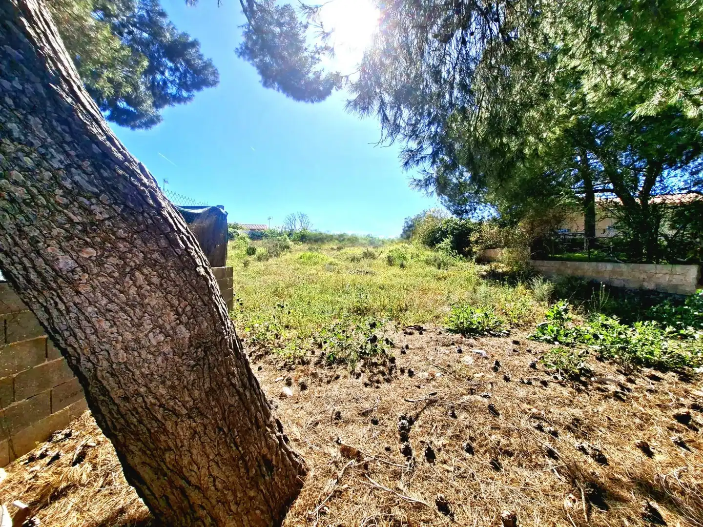 Terreny rústic en venda a La Conarda - Montesano, imagen 3