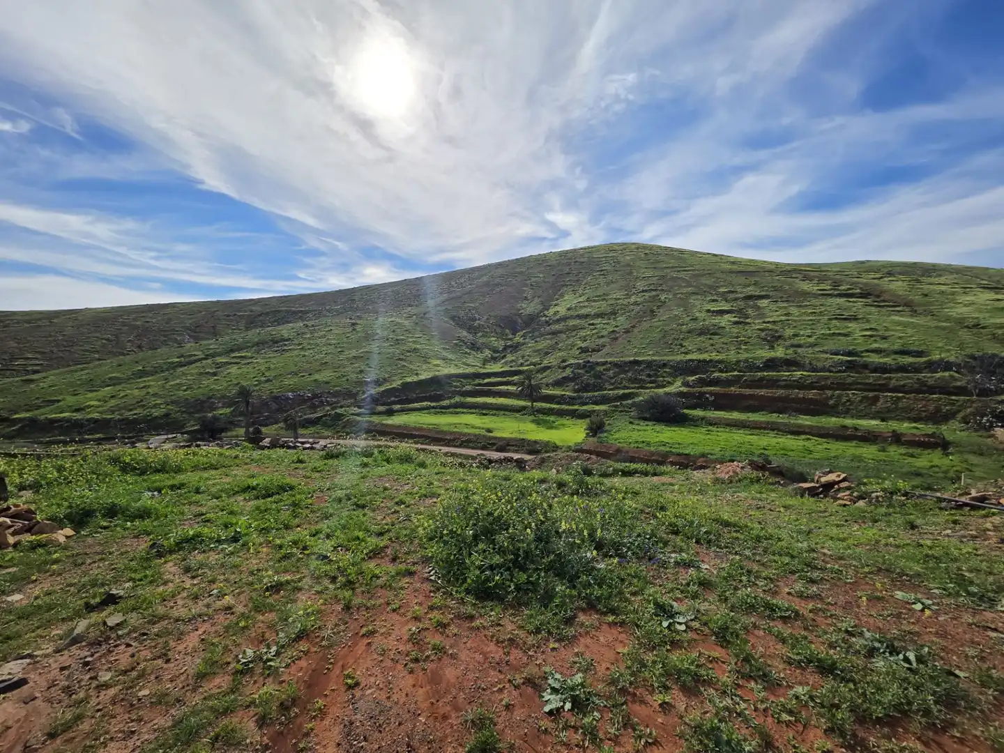 Finca rústica en venta en Antigua con Jardín privado