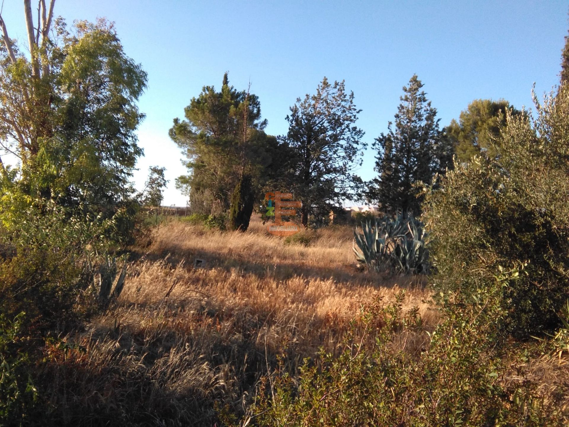 Land for sale in  Zaragoza Capital