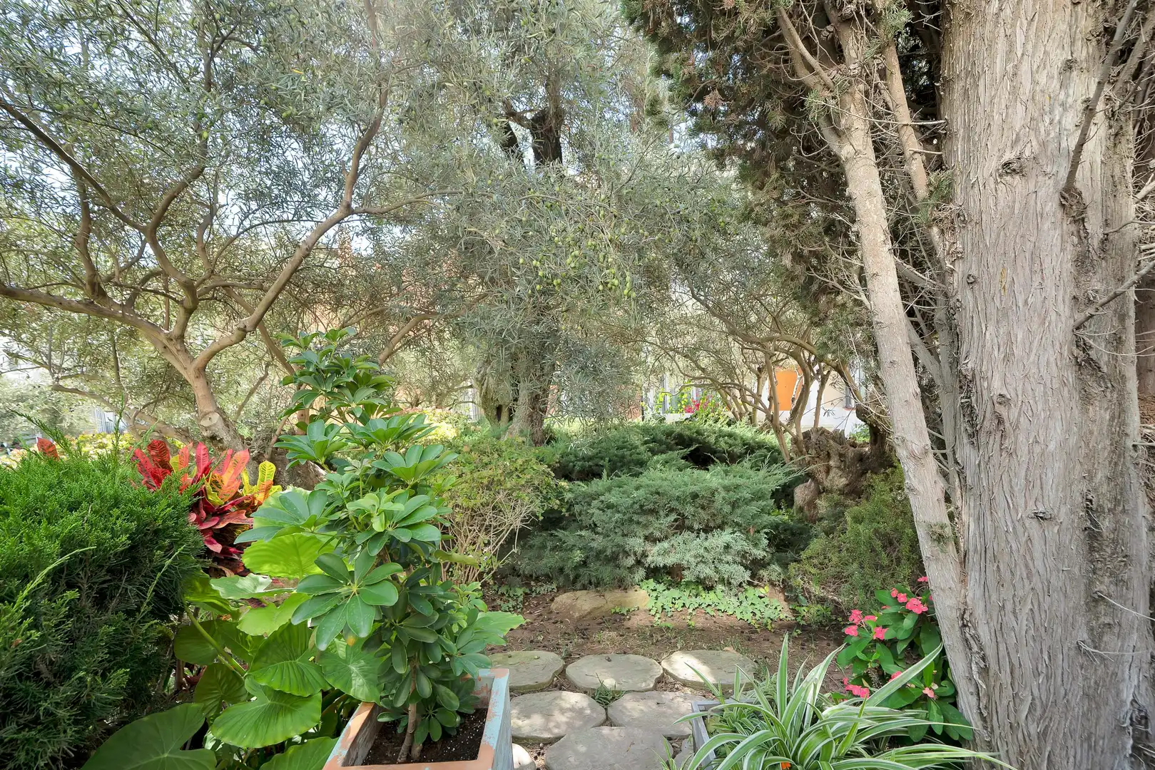 Jardín de Casa adosada en venta en Marbella con Jardín privado, Alarma y Piscina comunitaria