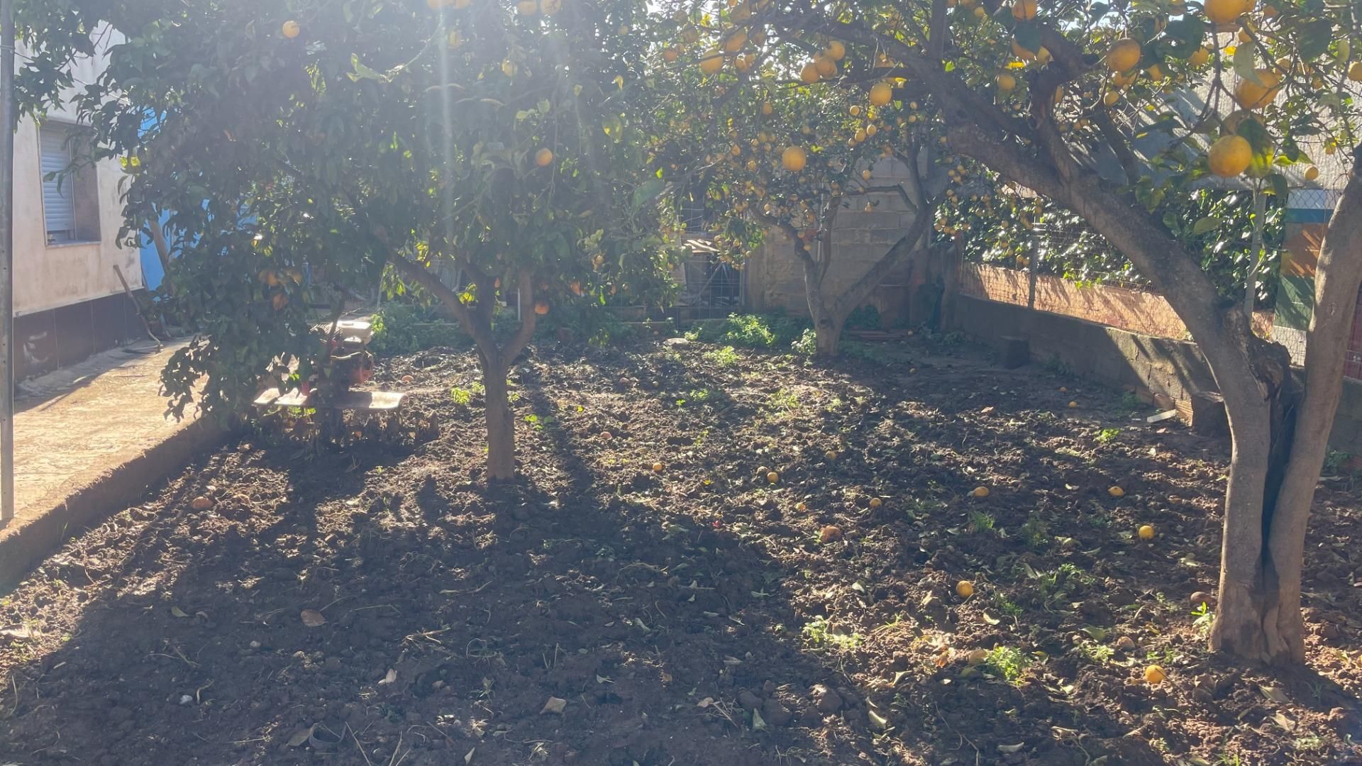 Casa o chalet en venta en El Vedat - Santa Apolonia