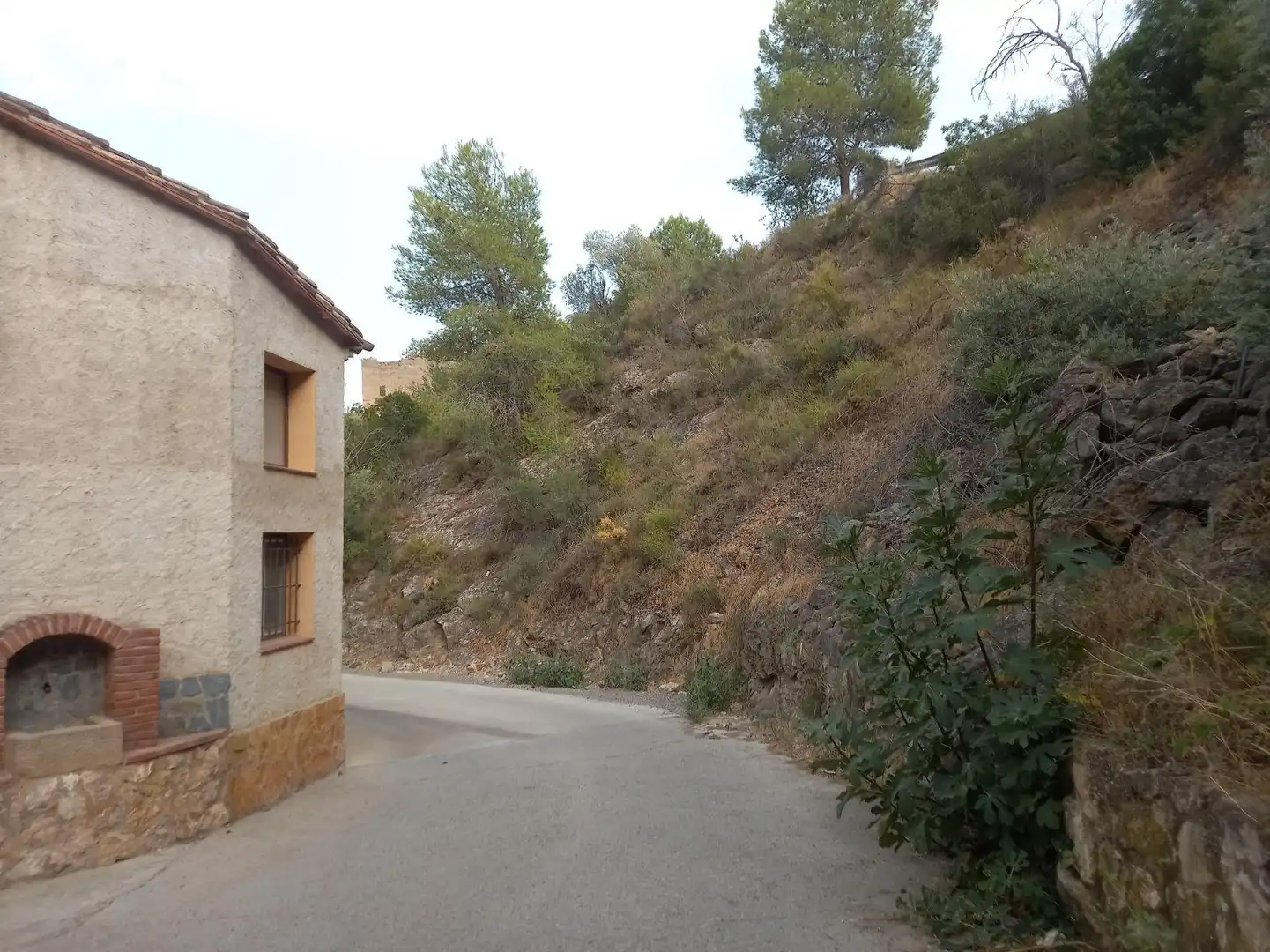 Exterior view of Commercial properties for sale in Miravet
