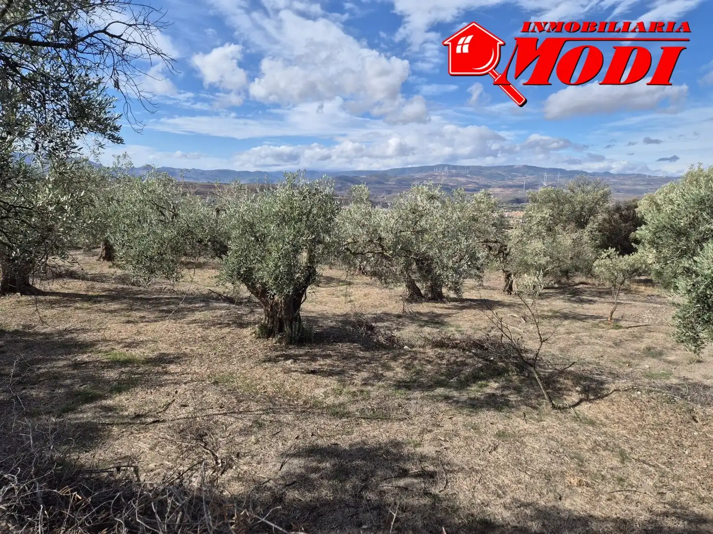 Lands and plots for sale in Dúrcal, imagen 13
