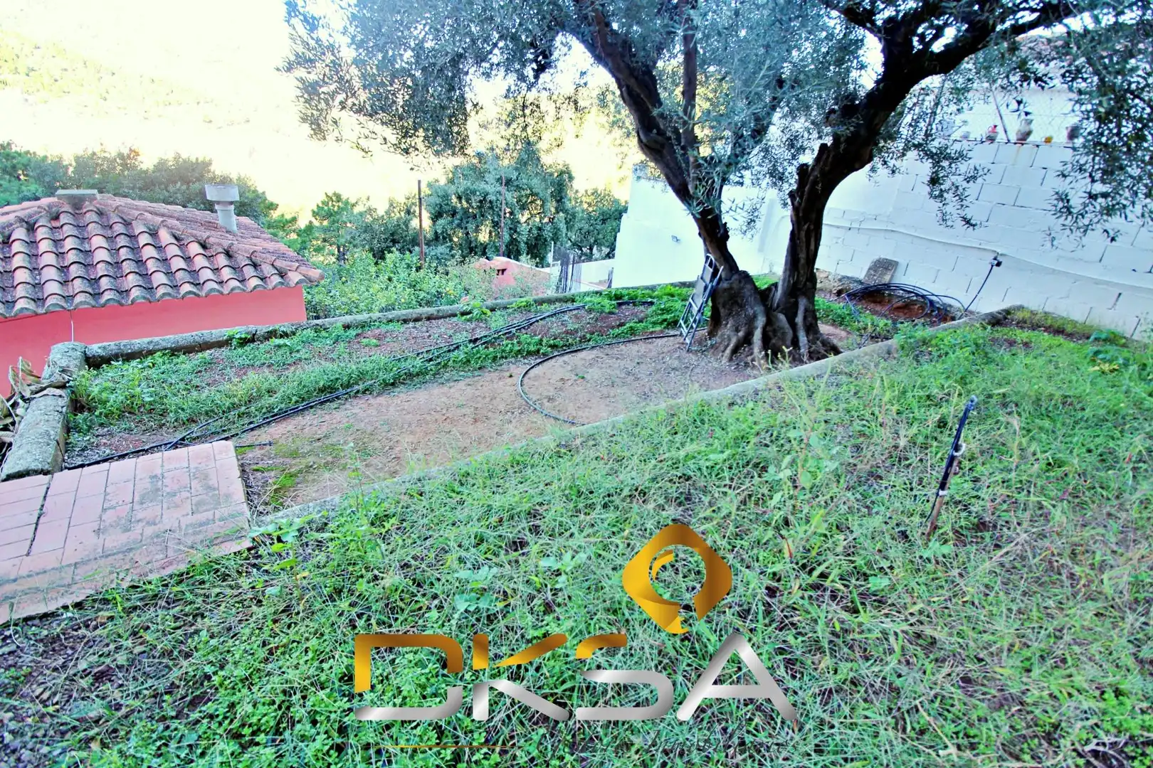 Garden of Houses for sale in Eslida  with Private garden, Terrace and Storage room