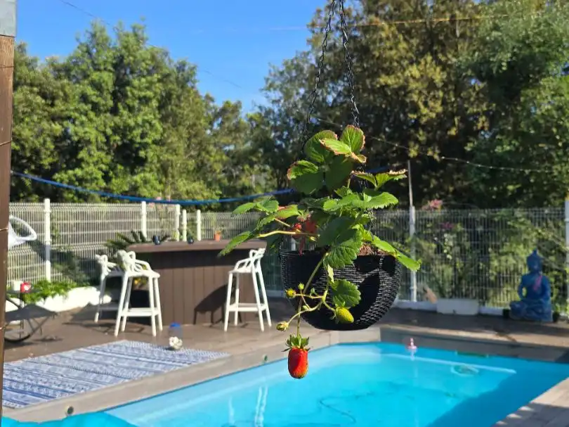 Bungalow mit Pool zur Miete in Carrer Torrent de Cal Carinyo 14, imagen 3
